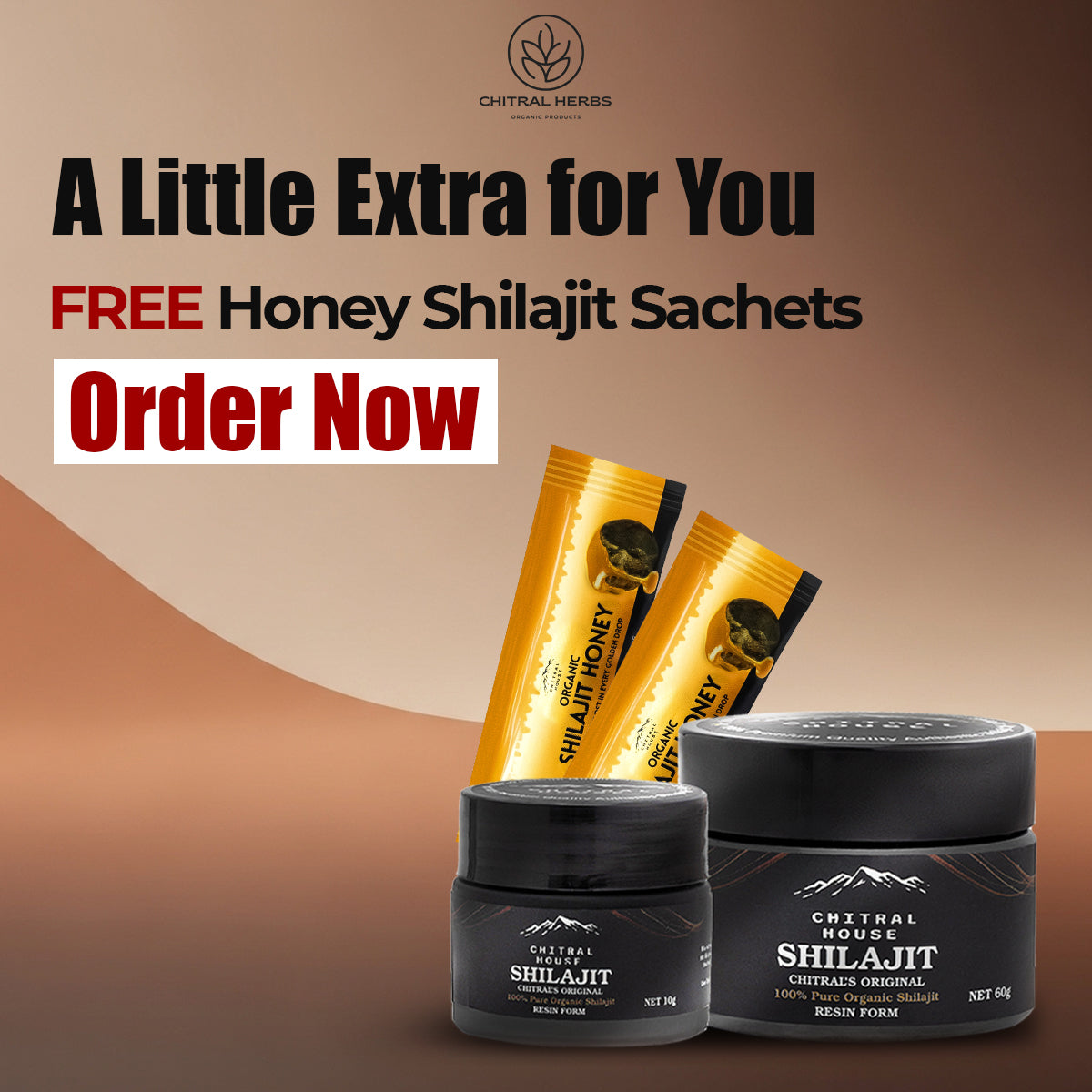 Buy 30g Shilajit in Pakistan – Chitral House Premium Himalayan Resin - Image 1