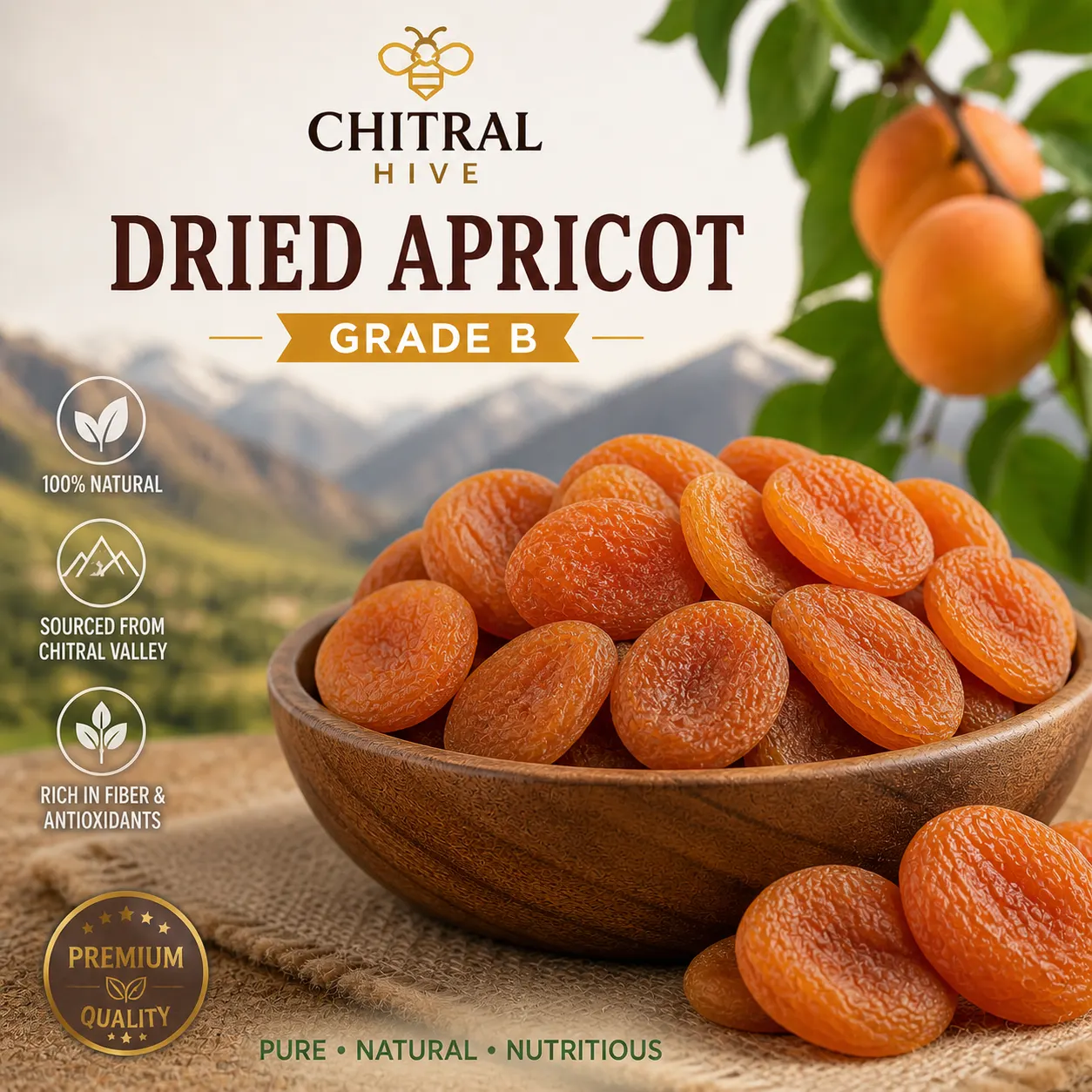 Dried Apricot (Grade B)