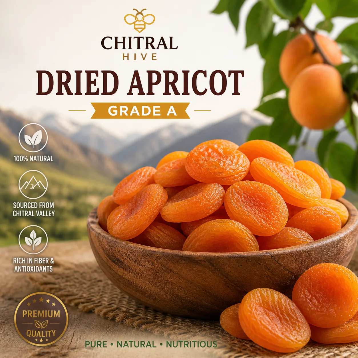 Premium Dried Apricot Grade A — Natural Chitrali Khumani